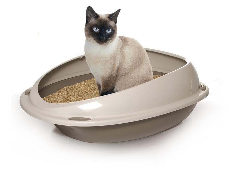 Shuttle 45cm – Lettiera 45x36x15,5 Cm