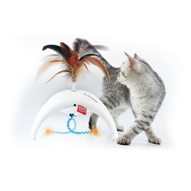 Gigwi ‘PetDroid’ con piuma