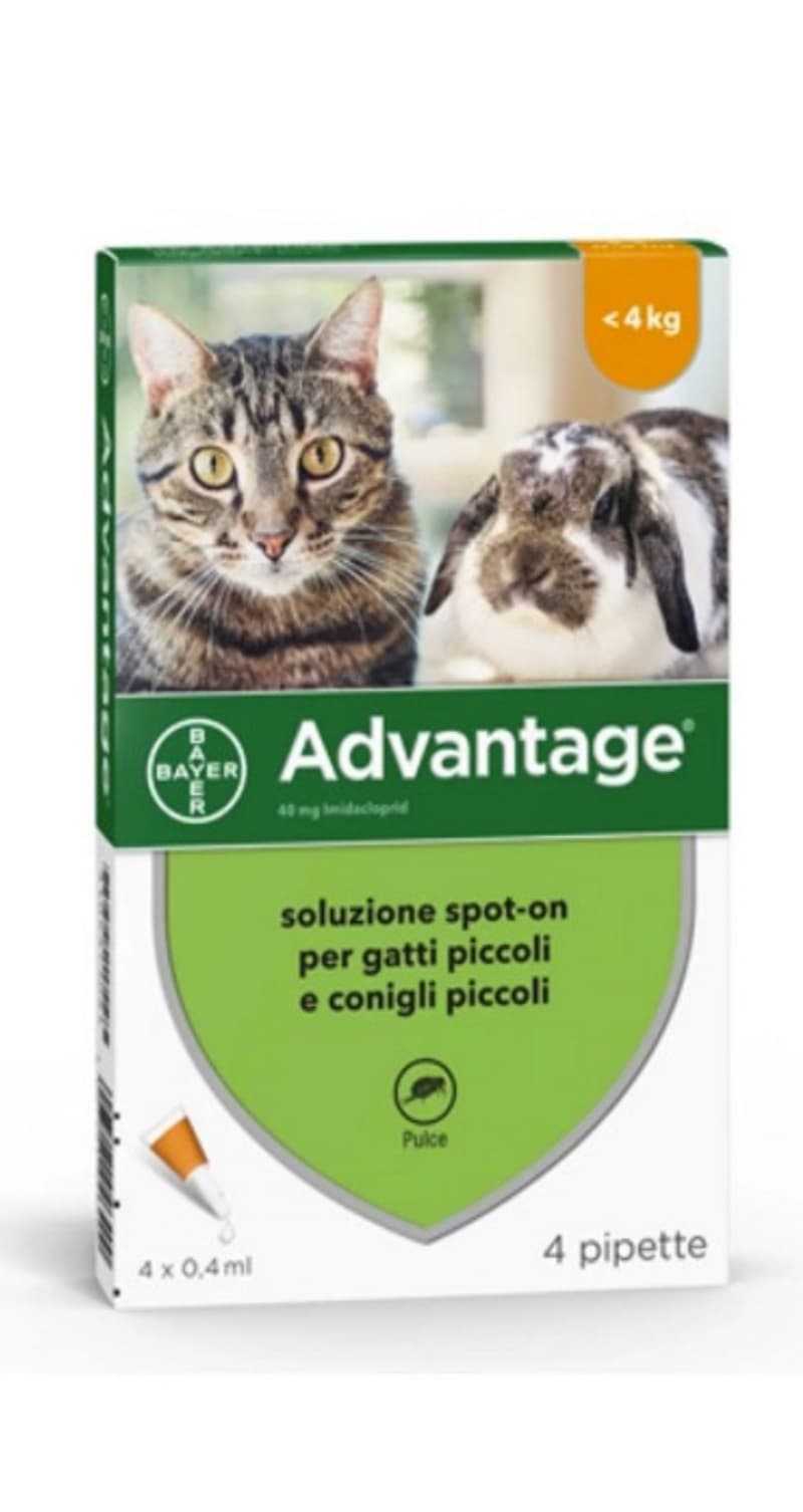 Bayer Advantage Spot-On gatti e conigli di peso inferiore a 4kg