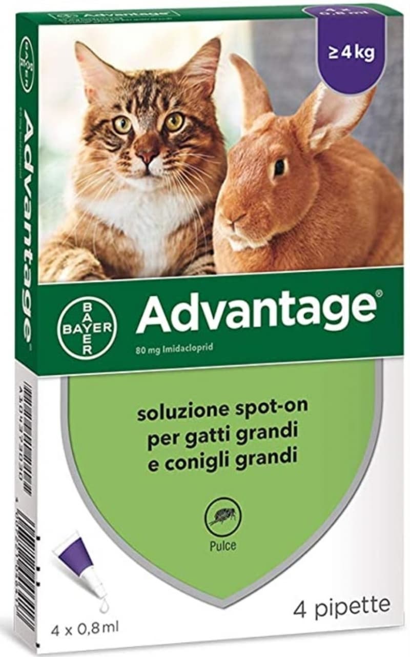Bayer Advantage Spot-On gatti e conigli di peso superiore o uguale a 4kg