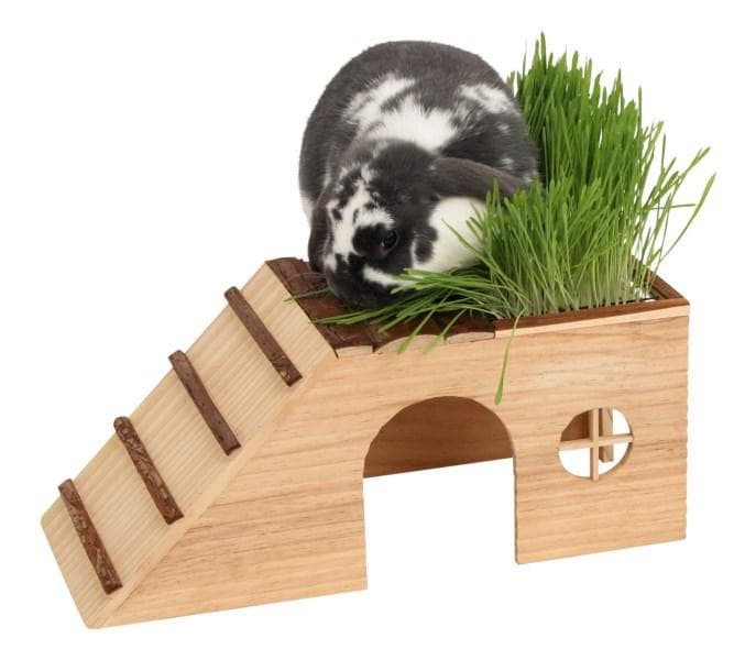 Kerbl Rodent Cabin With Ramp Casetta Per Roditori e Conigli Con Rampa