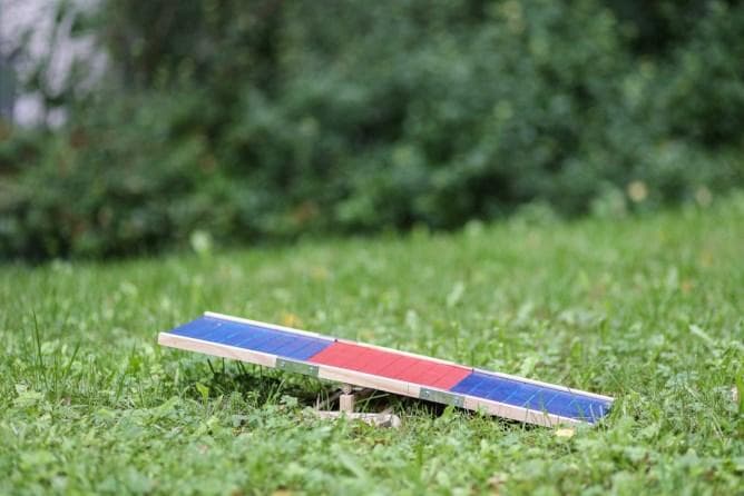 Kerbl Agility Rocker Bascula Per Conigli